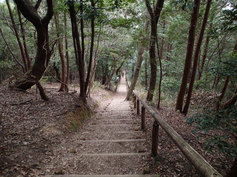 f:id:s-field0808:20160402194057j:image:w360