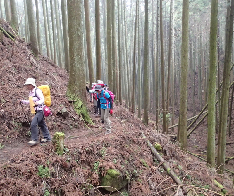 f:id:s-field0808:20160404115851j:image:w360