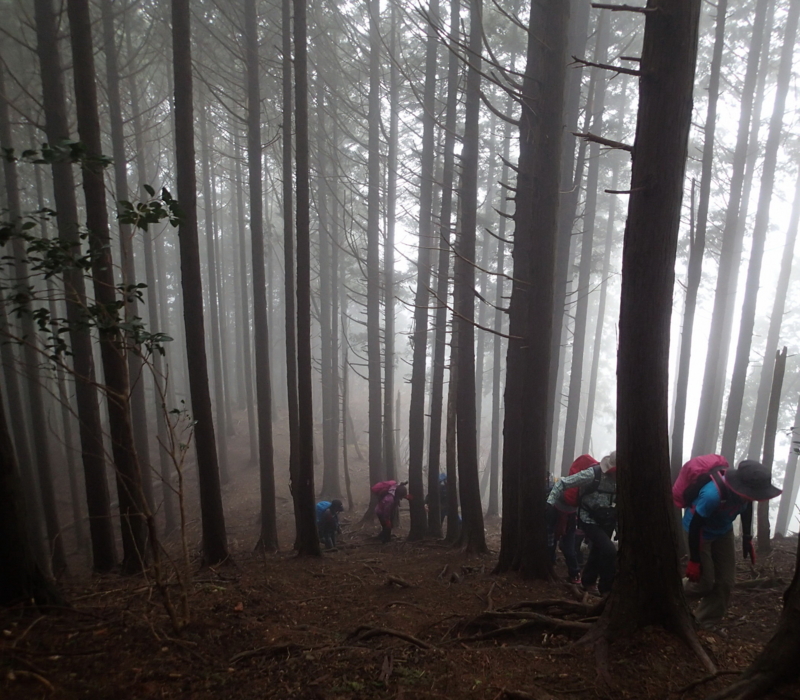 f:id:s-field0808:20160404120601j:image:w360