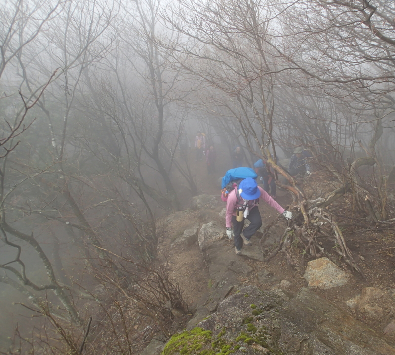 f:id:s-field0808:20160404120732j:image:w360