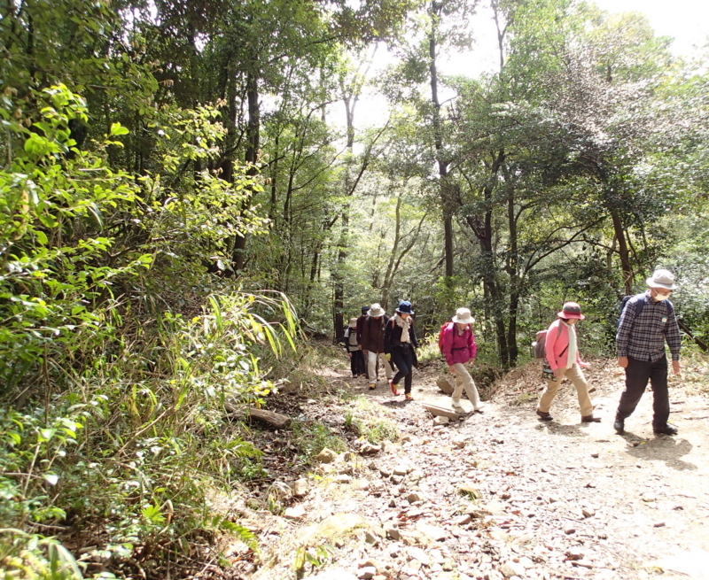 f:id:s-field0808:20160408092112j:image:w360