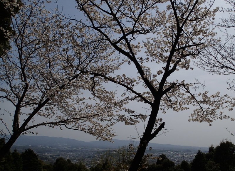 f:id:s-field0808:20160408092405j:image:w360