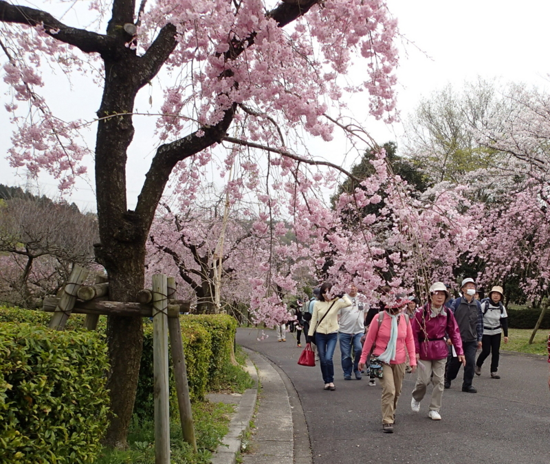 f:id:s-field0808:20160408092813j:image:w360