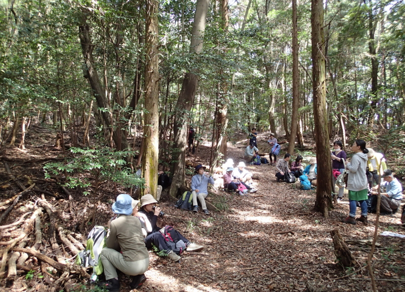 f:id:s-field0808:20160409172528j:image:w360