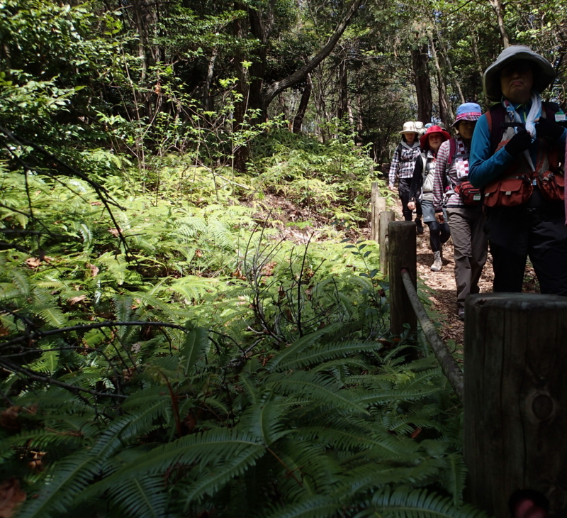 f:id:s-field0808:20160409173022j:image:w360