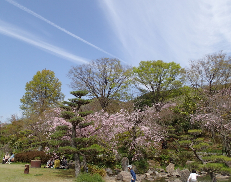 f:id:s-field0808:20160409173207j:image:w360