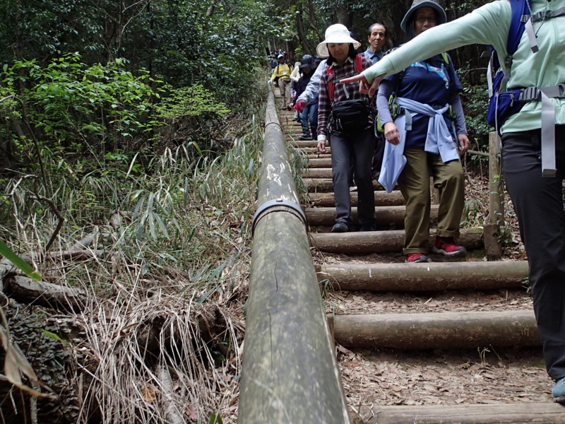 f:id:s-field0808:20160411094035j:image:w360