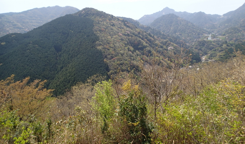f:id:s-field0808:20160416194506j:image:w360