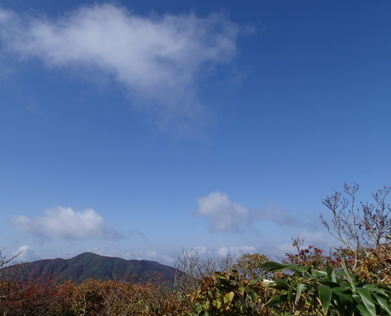 f:id:s-field0808:20161021103457j:image:w360