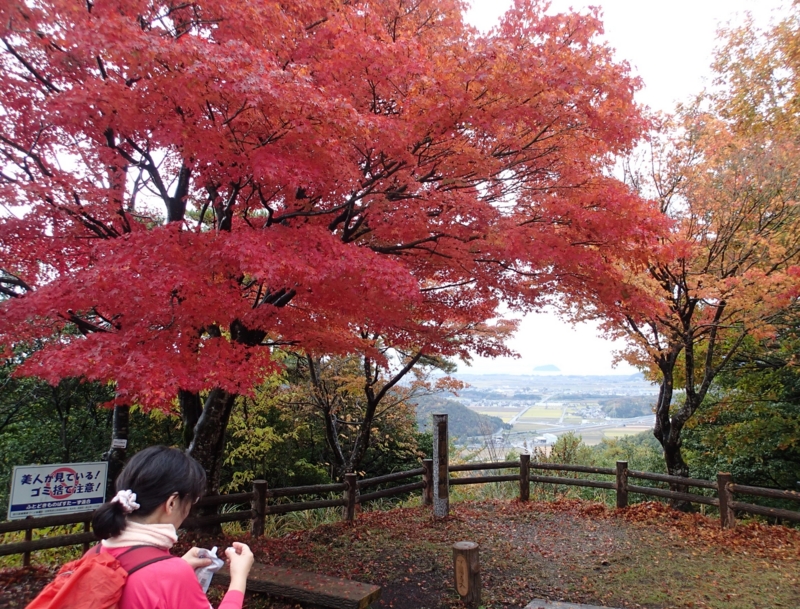 f:id:s-field0808:20161121140708j:image:w360