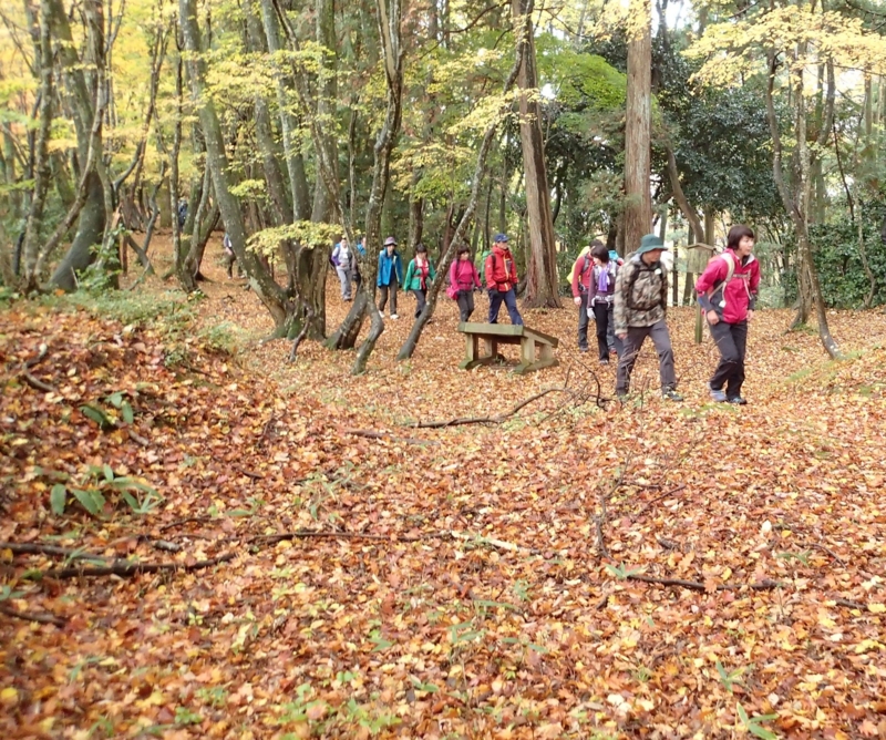 f:id:s-field0808:20161121155320j:image:w360