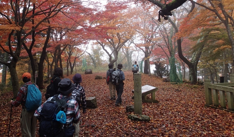 f:id:s-field0808:20161121190103j:image:w360