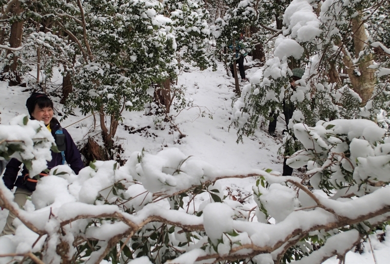 f:id:s-field0808:20180114102630j:image