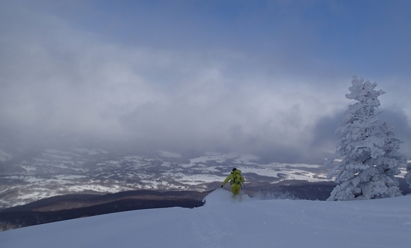 f:id:s-field0808:20180202181811j:image f:id:s-field0808:20180202181811j:image