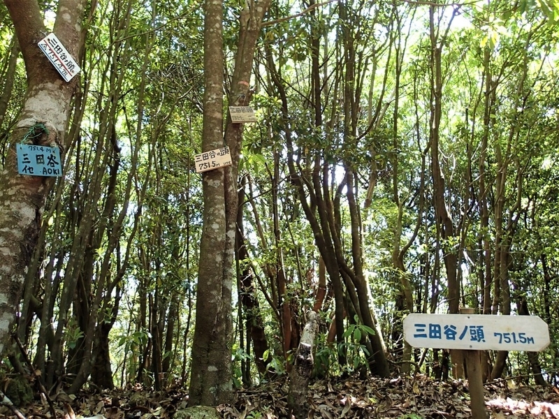 P5300017.jpg