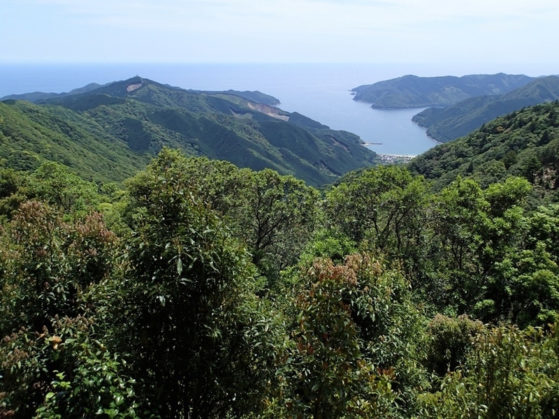 P5300040.jpg