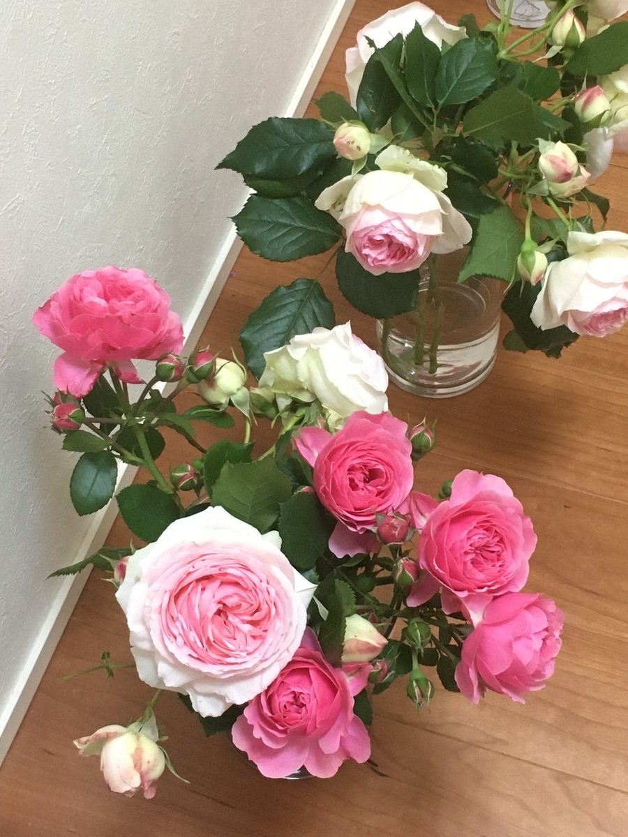 ピエールドゥロンサールとレオナルドダビンチ - s-garden's blog