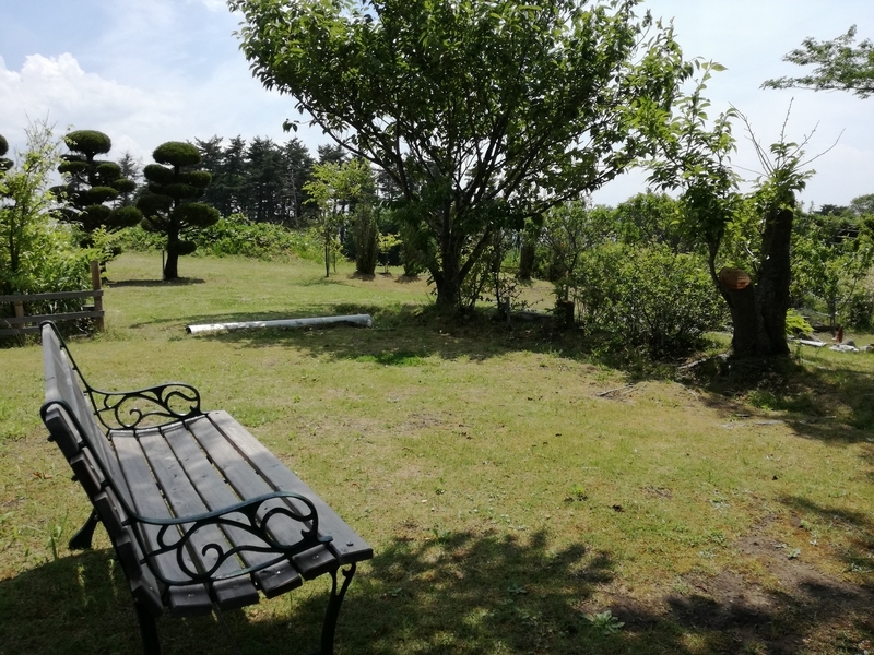 f:id:s-hua:20190604154527j:plain f:id:s-hua:20190604154527j:plain