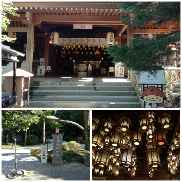 f:id:s-hua:20190812101725j:plain f:id:s-hua:20190812101725j:plain