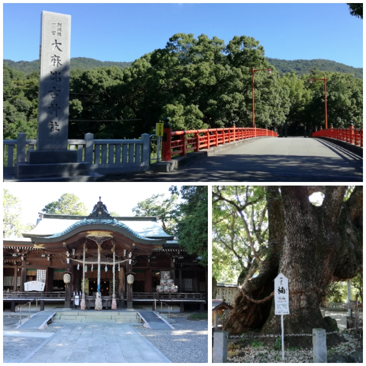 f:id:s-hua:20190812101738j:plain f:id:s-hua:20190812101738j:plain