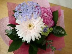 f:id:s-hua:20210402070027j:plain