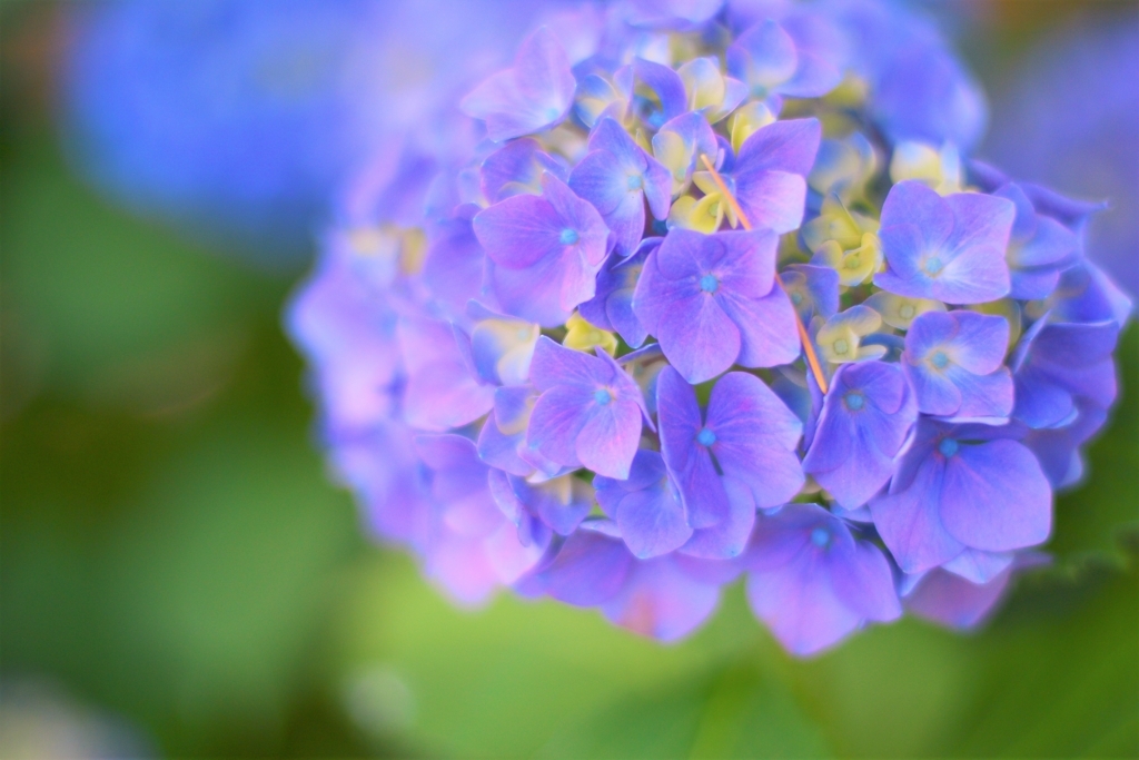 f:id:s-j0430j:20170702143804j:plain f:id:s-j0430j:20170702143804j:plain