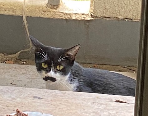 f:id:s-johnny:20201007202538j:plain f:id:s-johnny:20201007202538j:plain