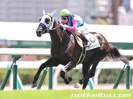 ウォーターナビレラ f:id:s-johnny:20211103130455j:plain
