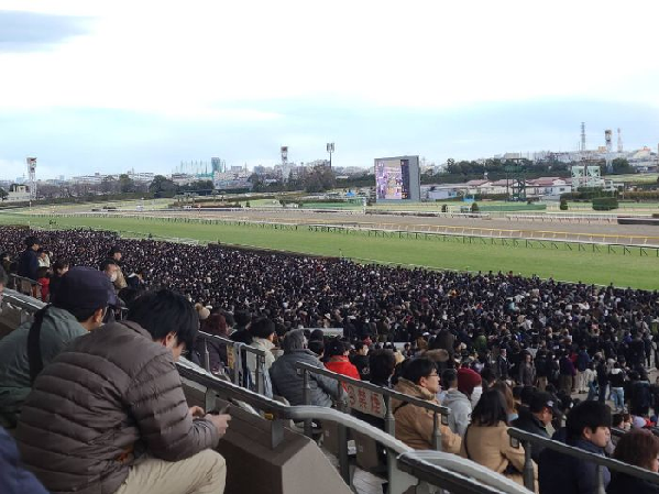 東京競馬場