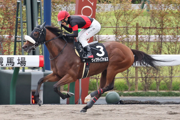 ヴィクティファルス