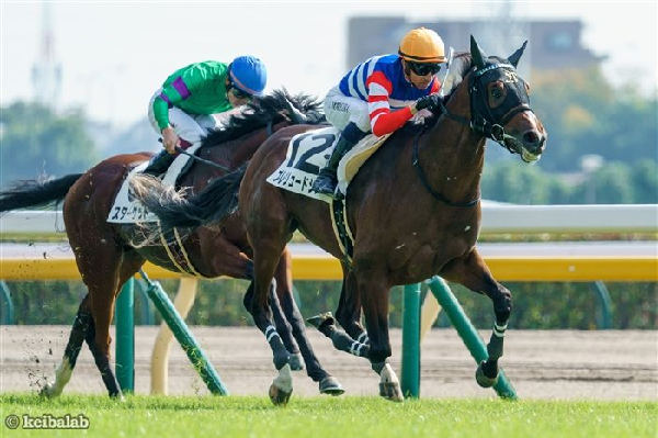 プレリュードシチー