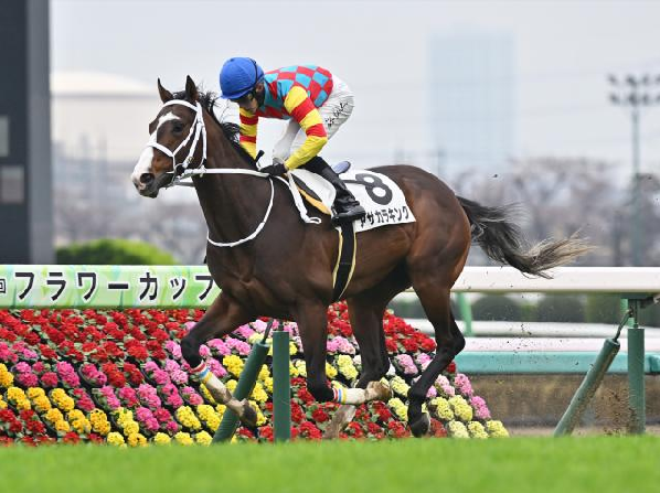 アサカラキング