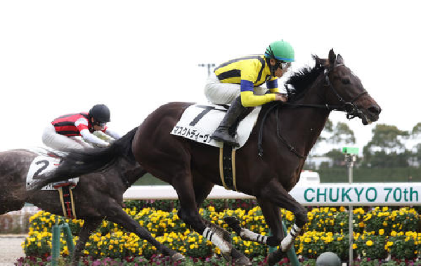 マスクドディーヴァ