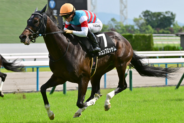 ジュンブロッサム