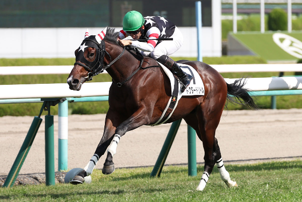 ドクタードリトル