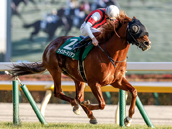 ウインカーネリアン