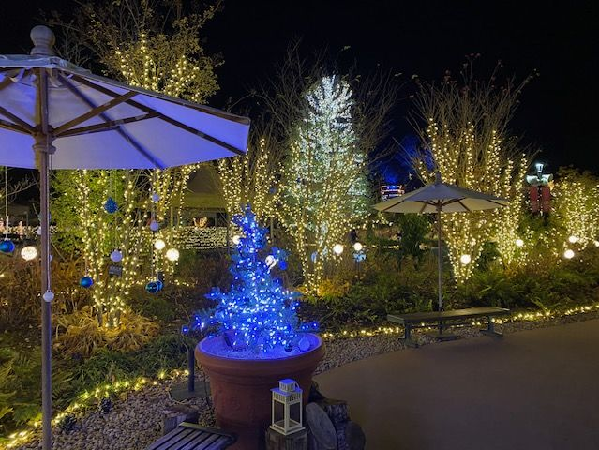 イルミネーション