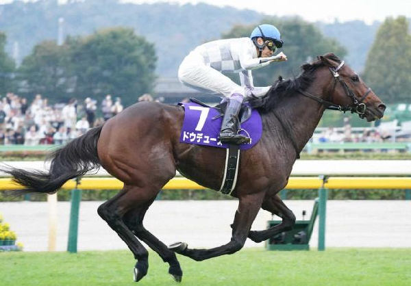 ス-パ-パドック２ ＪＲＡ-ＶＡＮ専用競馬デ-タベ-ス/マイナビ出版/毎日コミュニケ-ションズ（単行本） mqdefault.jpg