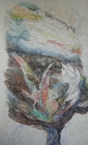 f:id:s-kai:20090823063409j:image:right f:id:s-kai:20090823063409j:image:right
