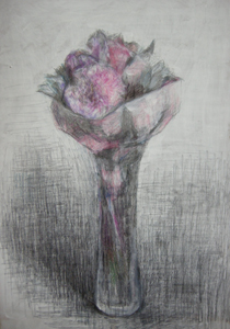 f:id:s-kai:20091205163230j:image:right f:id:s-kai:20091205163230j:image:right