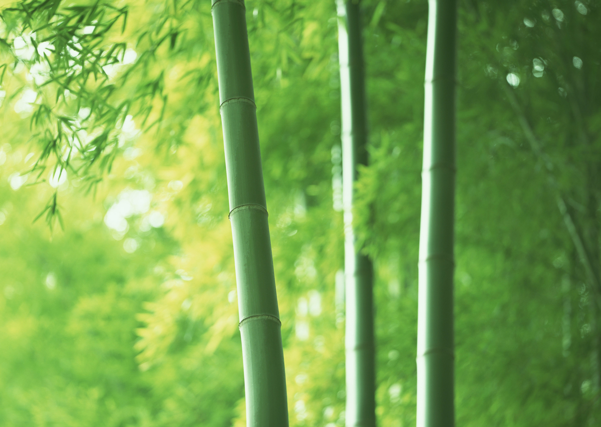 f:id:s-koku:20190731151425j:plain f:id:s-koku:20190731151425j:plain