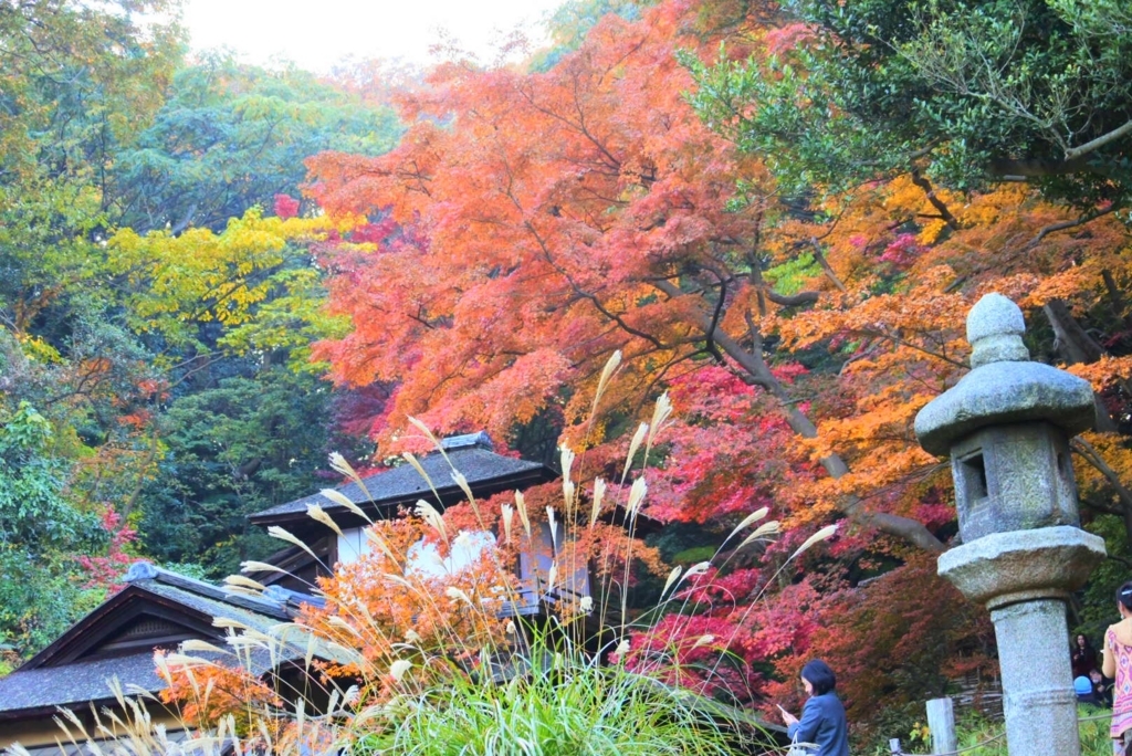 f:id:s-komichi:20171206040955j:plain f:id:s-komichi:20171206040955j:plain