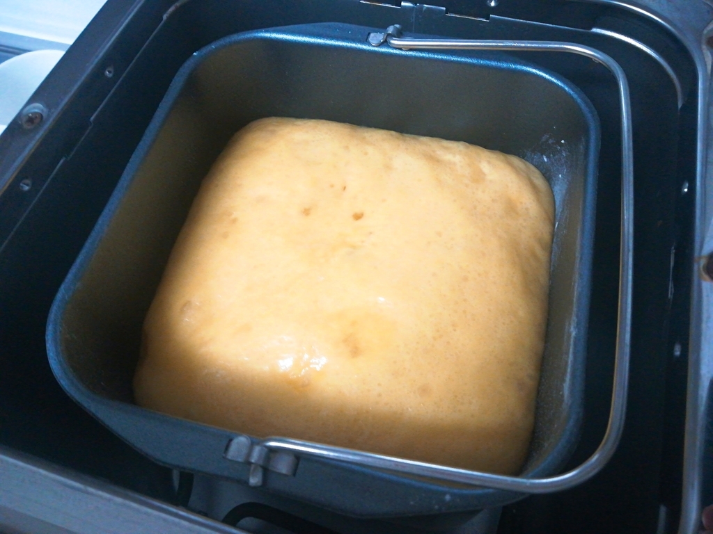 f:id:s-kumakuma:20190303212739j:plain