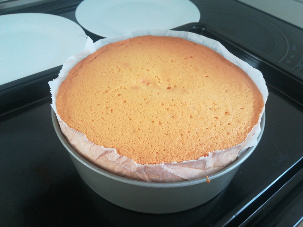 f:id:s-kumakuma:20190305213215j:plain