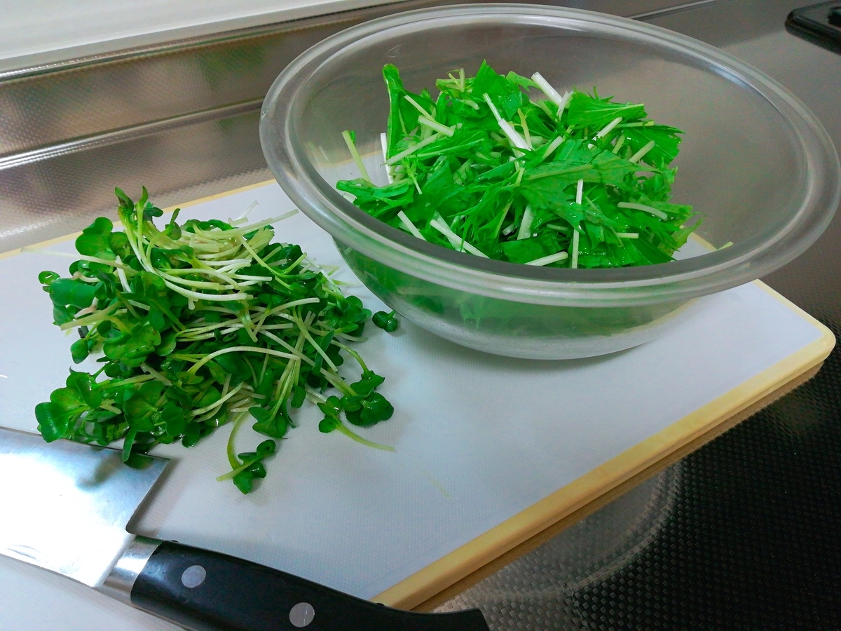 f:id:s-kumakuma:20190727215454j:plain