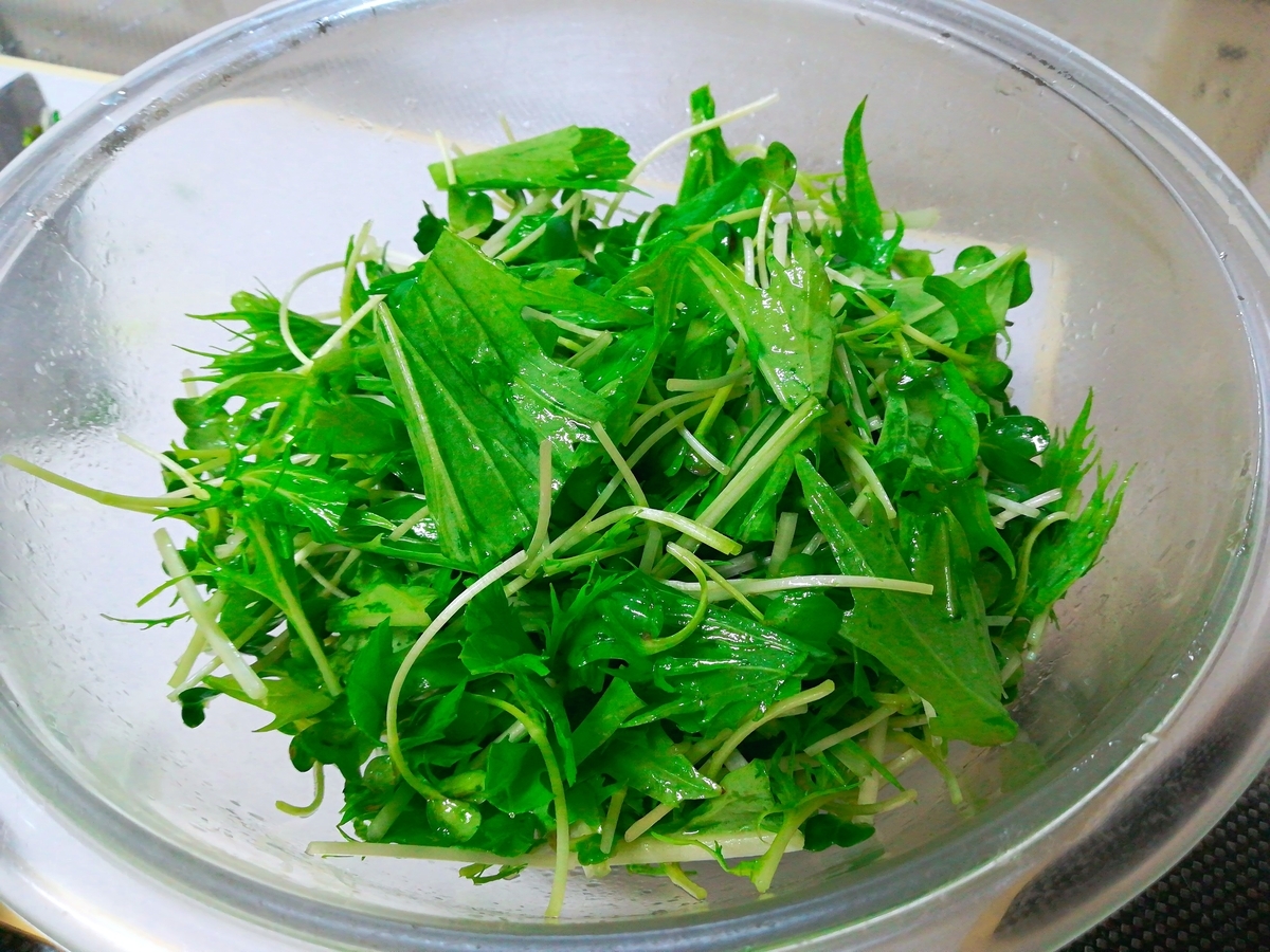 f:id:s-kumakuma:20190727215536j:plain