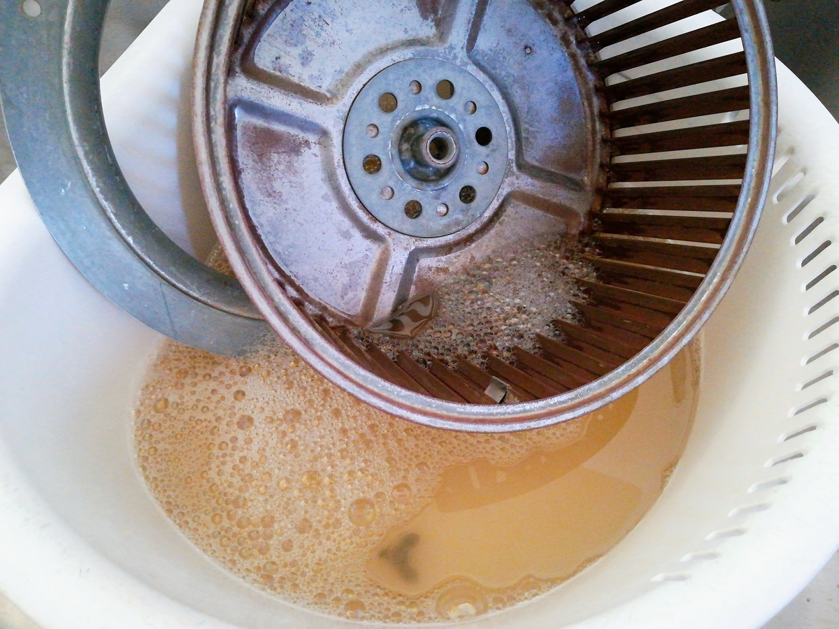 f:id:s-kumakuma:20190729202245j:plain