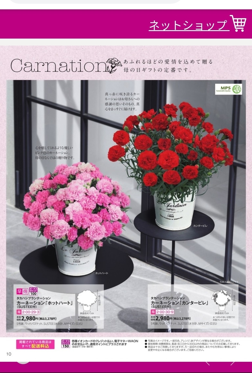 f:id:s-kumakuma:20200309122446j:plain