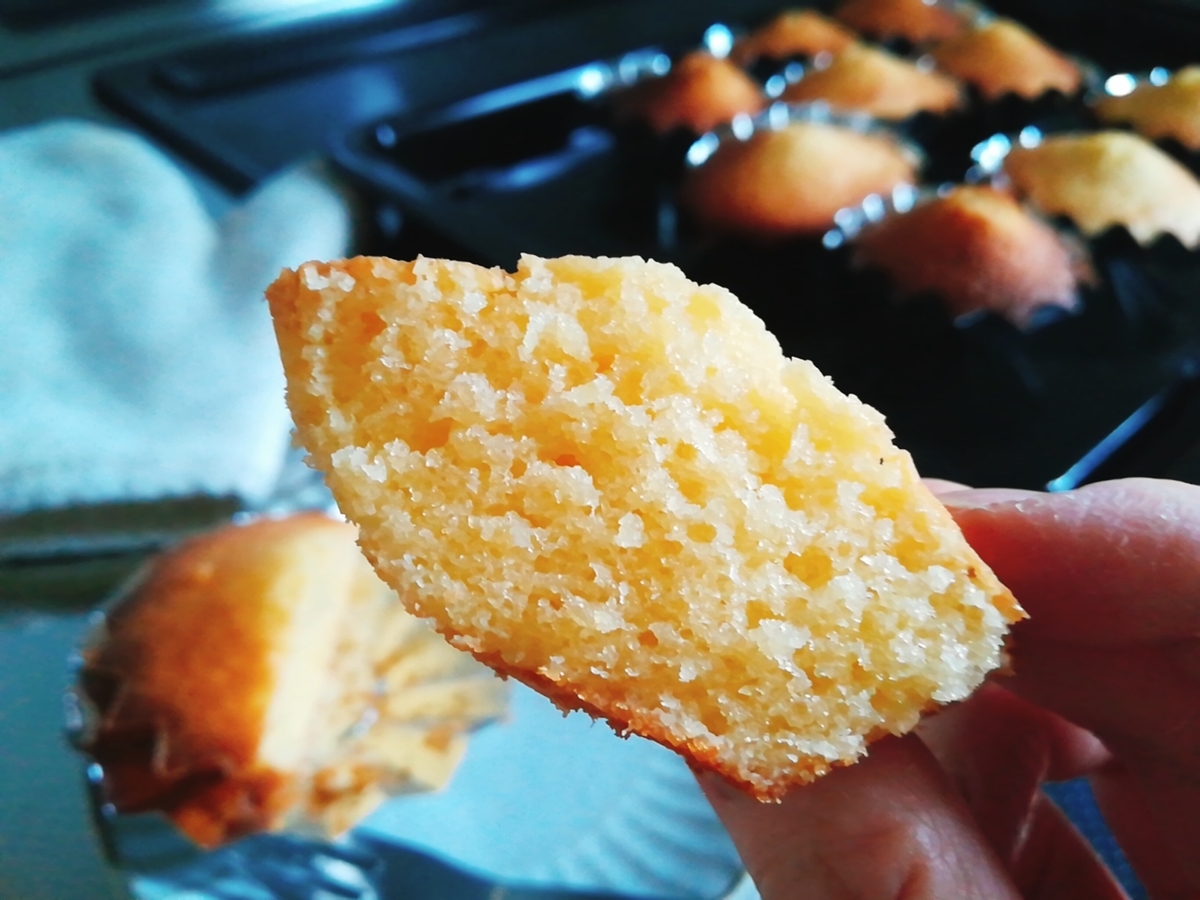 f:id:s-kumakuma:20201005201443j:plain f:id:s-kumakuma:20201005201443j:plain