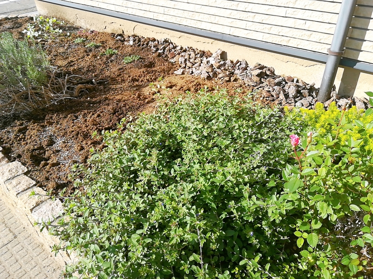 f:id:s-kumakuma:20201026204250j:plain